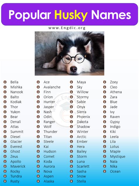 cute names for husky|unique husky names male.